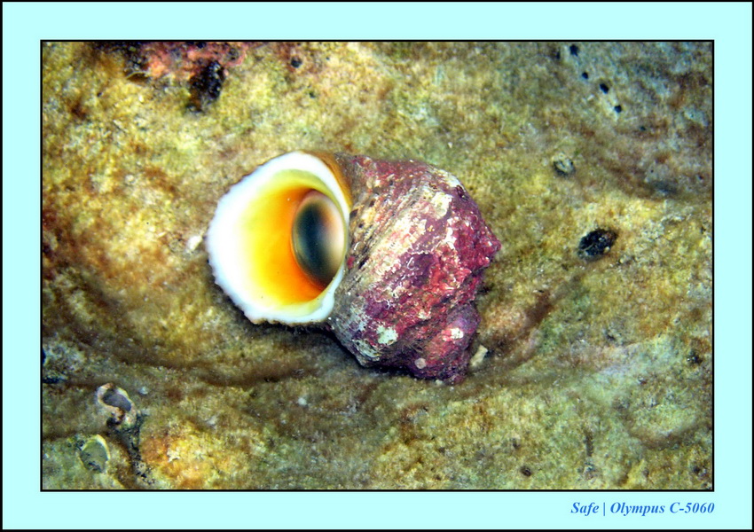 2005 - 08 - Redang  - 044.JPG